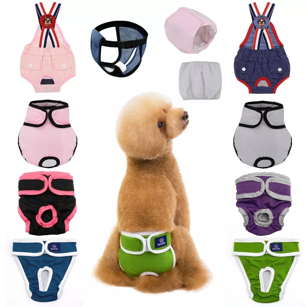 Dog NappiesReusable Female Dog Period PantsWashable Dog Pants for Bitchs  in SeasonAdjustable Pet Diapers Puppy Sanitary PantiesSuper Absorbent  Soft for Small Medium Large Incontinence Dog3 PackS  Amazoncouk Pet  Supplies