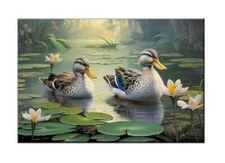 Two Ducks in a Pond Oil Painting Printed on canvas,Giclée Print,Home Wall Decor