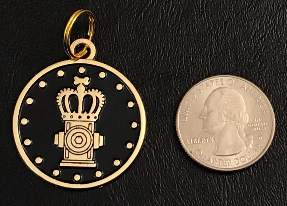 Loot Crate Pets August 2017 “Kingdom” Dog Pet Tag New Gold & Black Collar Charm - Image 2 of 4