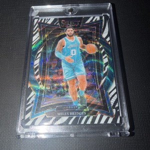 Basketball Zebra | eBay
