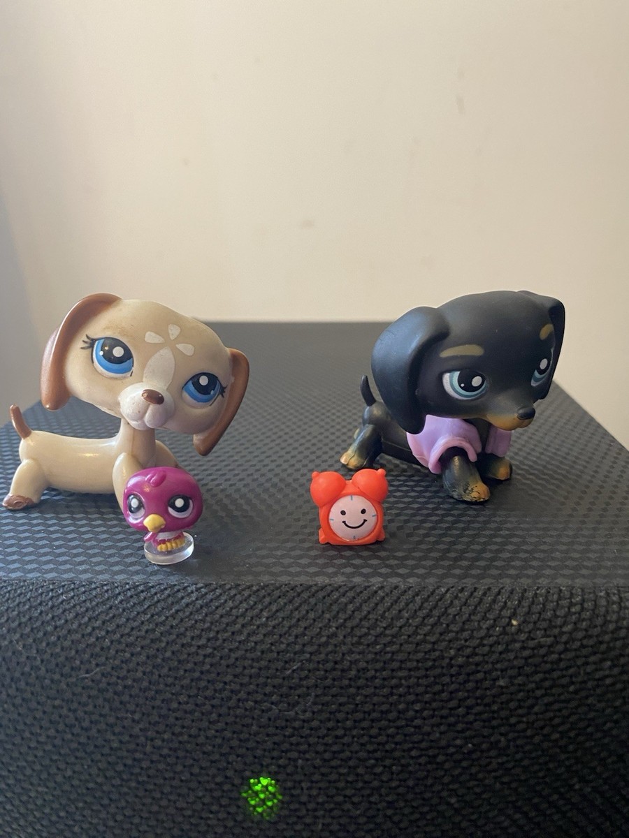 Figurine Littlest Pet Shop #325 – Teckel (Dachshund) – Original Hasbro LPS