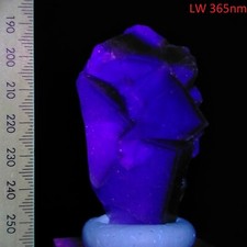 Fluorescent Fluorite cubic crystal cluster natural long wave mineral 670ct