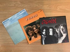 LOT - Rare Rock Vinyl - Ronin, Punch, Lost Gonzo Band SRM13832, A&M4307, SW11788