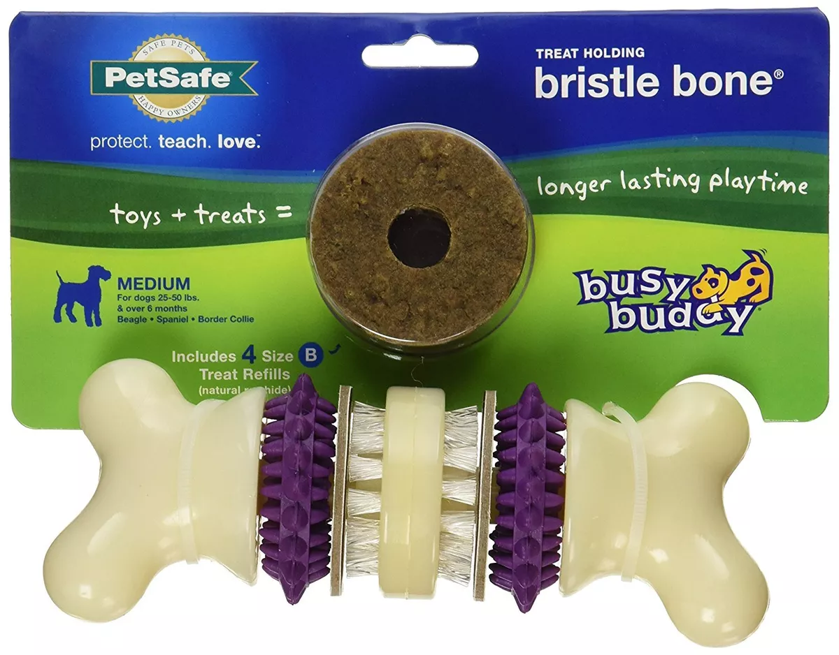 PetSafe Busy Buddy Bouncy Bone, 3-in-1 Dog Toy, Includes Treat Rings, Small  