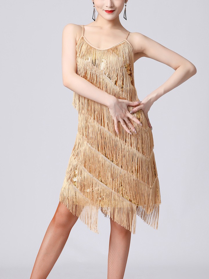 Women Sequins Fringe Tassel Flapper Dress Samba Chacha Tango Latin ...