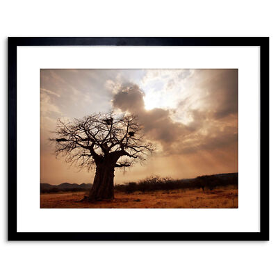 Photo Landscape Single Lone Baobab Tree Sunbeam Framed Print 9x7 Inch