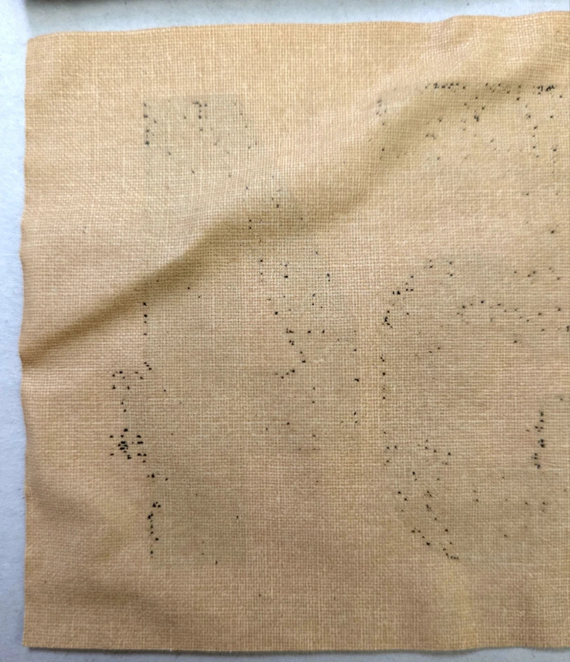 Licencia de caza de lona residente de Michigan 1946 en soporte trasero con licencia en papel Foto 3 de 4