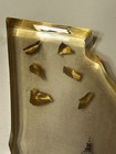 Acrylic 4.5" Georgia State Shaped Gold Flakes from Atlanta Capitol Building — photo 6