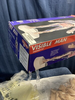 希少 Skil Craft Visible Man Anatomy Kit Vtg SKILCRAFT VISIBLE MAN ANATOMY MODEL KIT #74622