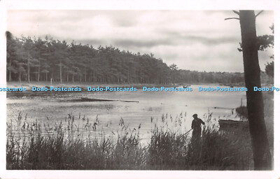 R509011 Wells Abraham Busom Treibhauspresse RP 1948