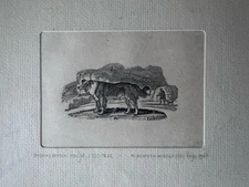 Thomas Hewick Sculpt 1753-1828, R. Hunter Middleton 1944 Vintage Engraving Print