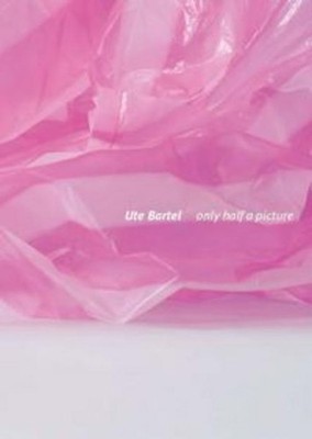 Ute Bartel: Only half a picture Stadtmuseum Beckum