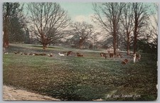 BOWOOD PARK Wiltshire The Deer Postcard