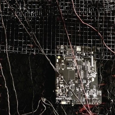 Vinile - Merzbow / Prurient - Black Crows Cyborg  - Hospital Productions -D- Neu