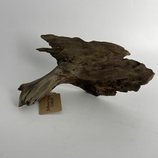 12x7 Driftwood Natural Aquarium Plant Art Craft Taxidermy Jewelry Decor