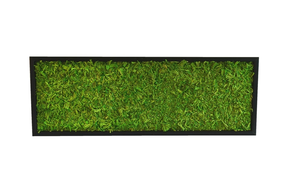 Moosbild, Wandbild mit Ostfrieslandmoos (ähnlich Islandmoos) Osterdekoration - Bild 4 von 4