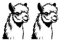 Alpaca Graphic Rendering Two PK 5" Black Vinyl Decal Car Truck Laptop Tablet