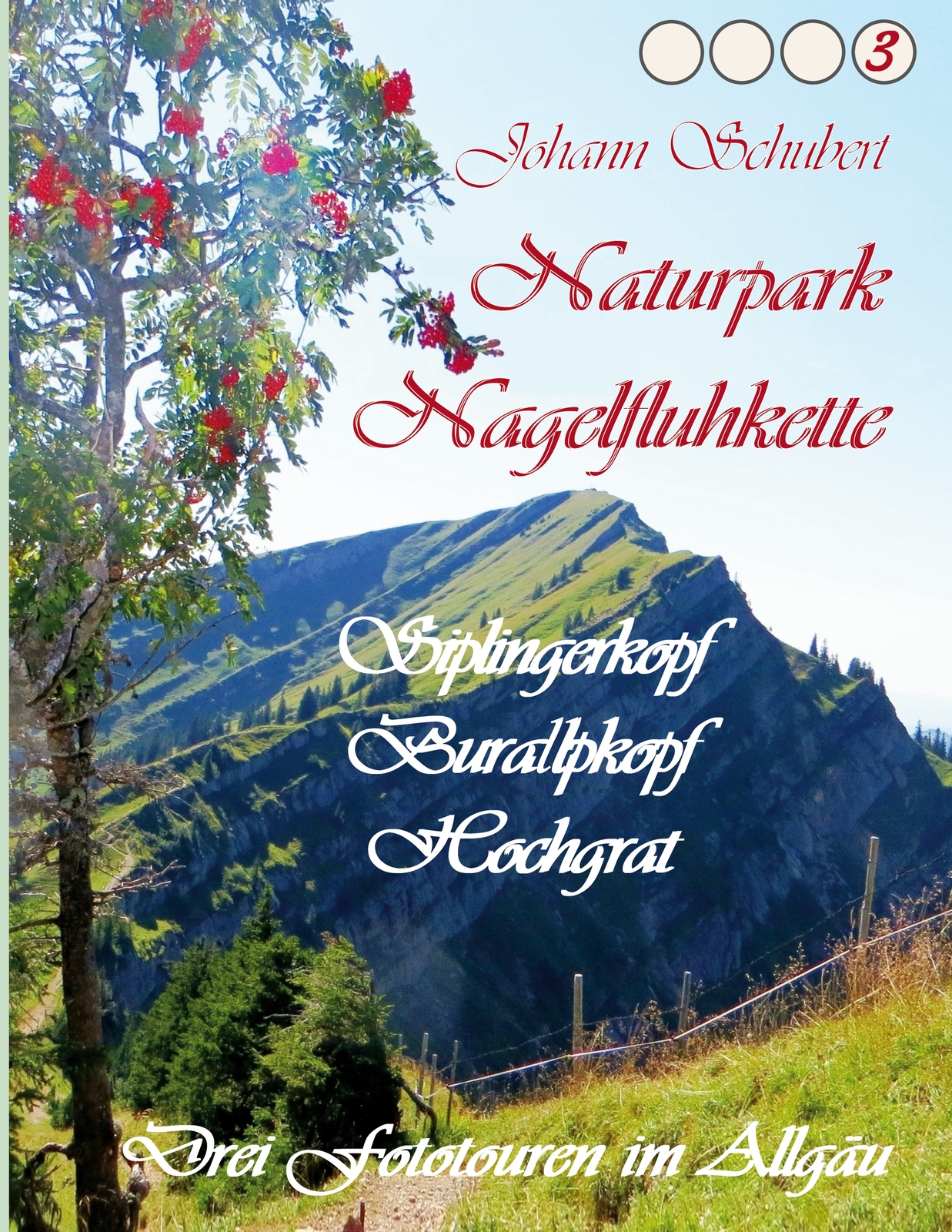 Naturpark Nagelfluhkette Siplingerkopf Buralpkopf Hochgrat (buch)