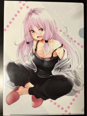 Japanese anime Why the Hell are You Here, Teacher!? clear file vol.9 Melon books