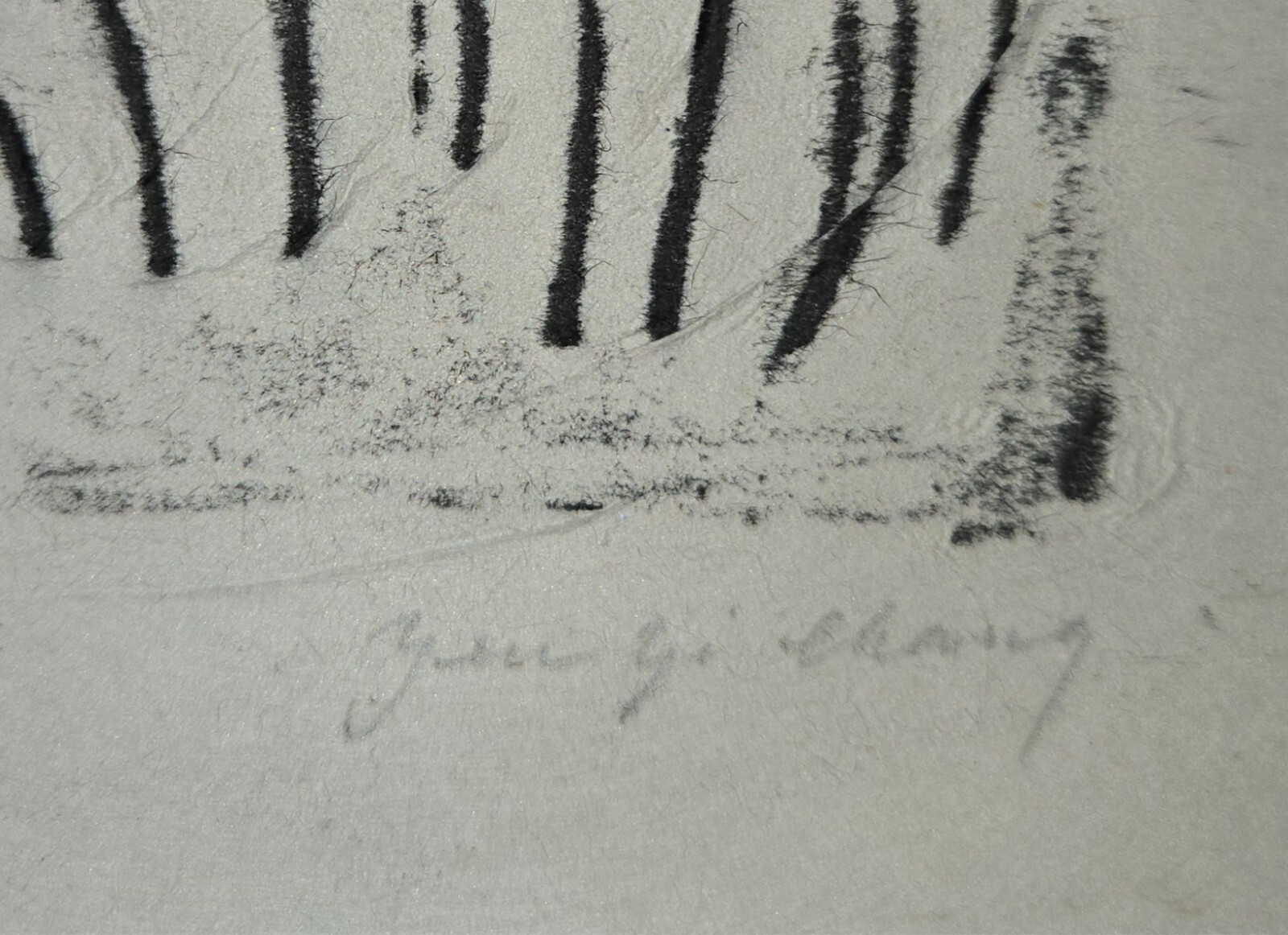 Picture 4 of 12