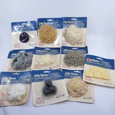 Life Form Food By Nasco Replica Food Lot  Of 10 Pieces NEW Greens Corn butter