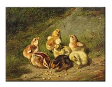 Best Gift Home Wall Decor Chickens Chicks Oil Painting Picture Printed On Canvas