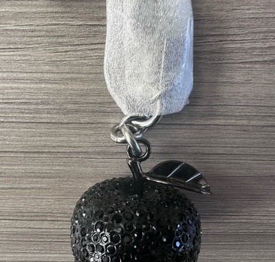 NWT Coach Small Resin Crystal Apple Bag Charm Keychain Silver