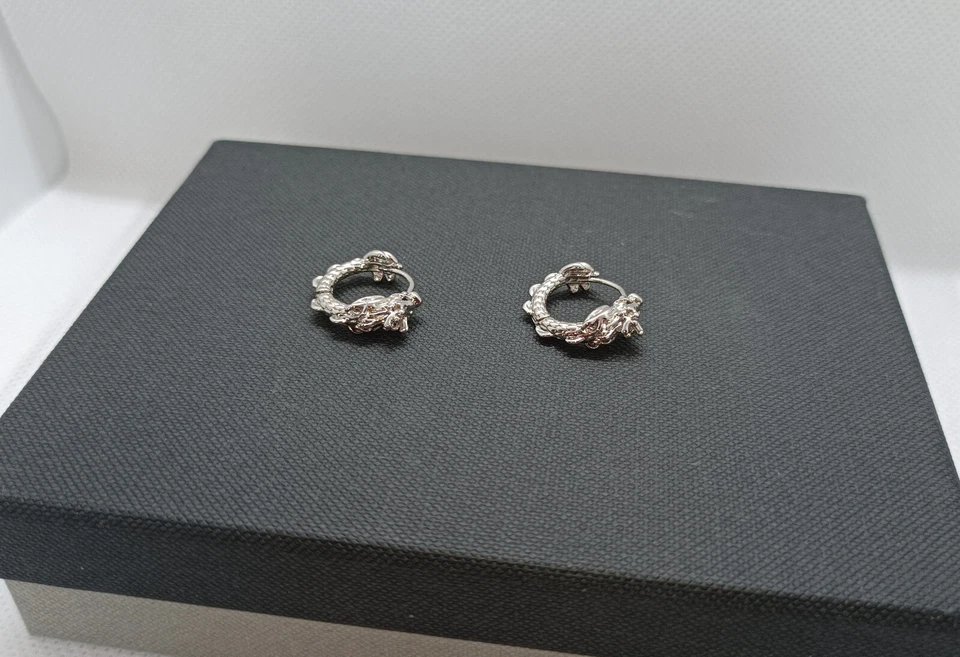 ORECCHINI UOMO DONNA UNISEX CERCHIO DRAGO RAME COLORE ARGENTO - Immagine 2 di 4