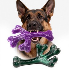 Aggressive Chewers Dog Chew Toys - 2 Pack Tough Dog Toys for Aggressive Chewe...