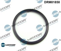 Dr.Motor Automotive DRM01850 Dichtring FüR Ladeluftschlauch