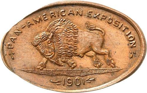 1901 Pan-American Expo BUFFALO Elongated Indian Cent NGC MS64 M&D-17 Rare Coin