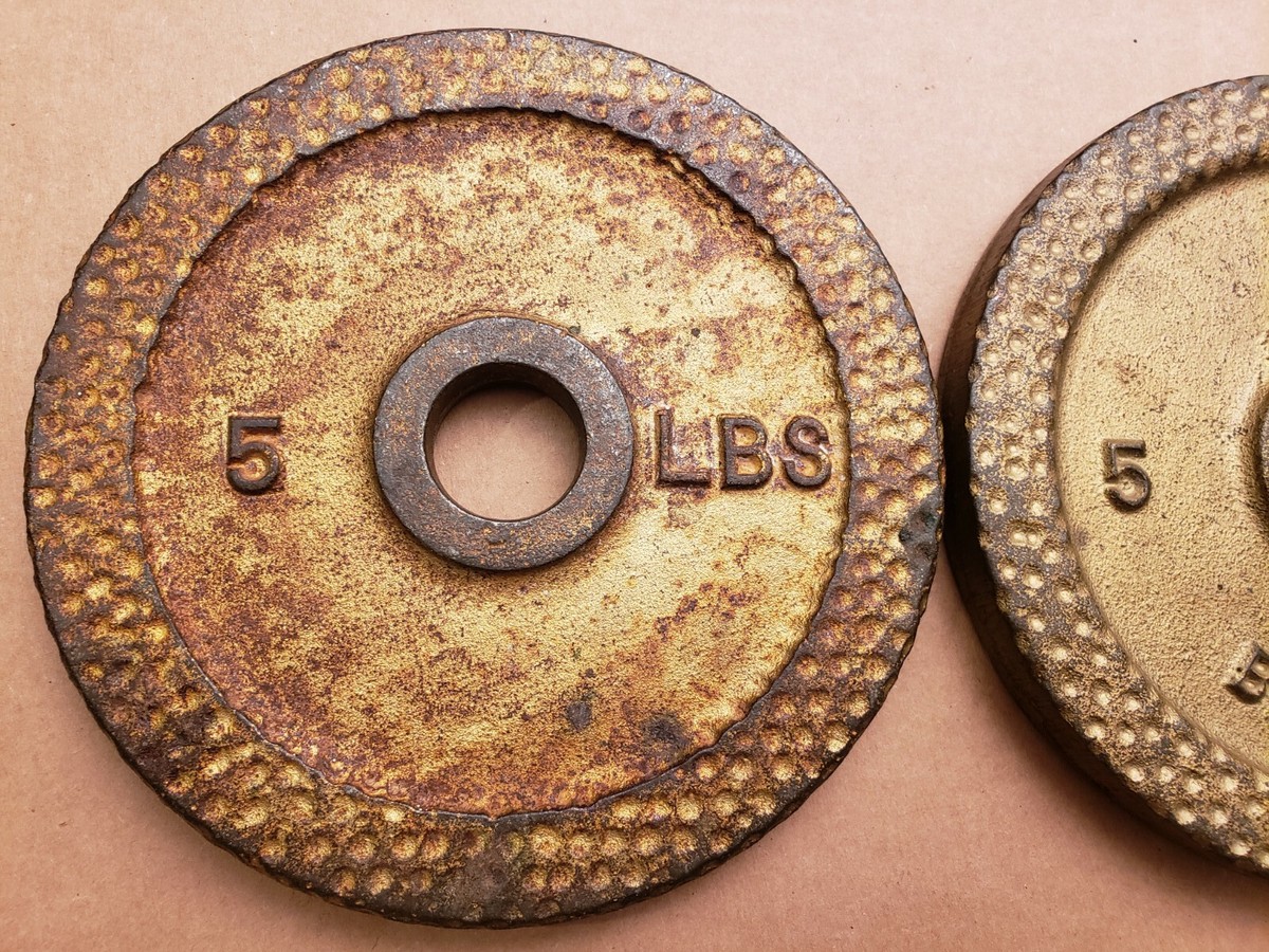 Paire De Plaques De Poids Standard Barbell 5 Lb - Fonte Fossette - Vintage