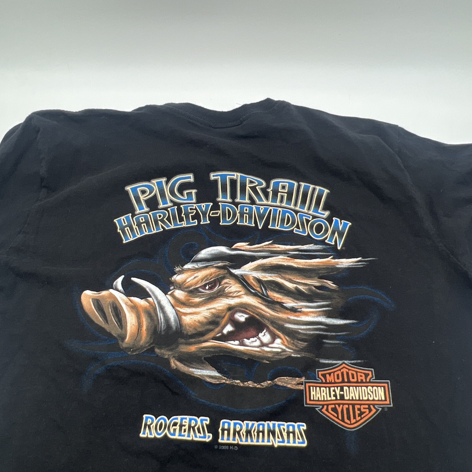 2016 PIG TRAIL HARLEY DAVIDSON ROGERS, ARKANSAS GRAPH… Gem