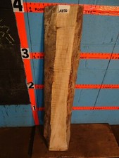 A876 2 1/8" THICK spalted maple live edge slab shelf table