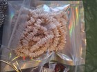 25 Piece Mixed Necklace Bracelet Pulseras Lot Assorted Costume Fashion Jewelry  — photo 10