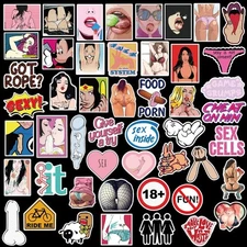 96Pcs Vinyl Adult Stickers Bomb Skateboard Guitar Luggage Sexy Girls Decals Lot