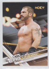 2017 Topps WWE Bronze Austin Aries #63 0w6