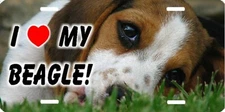 Beagle I Love My Beagle Dog Auto Vanity Aluminum Metal License Plate Too Cute