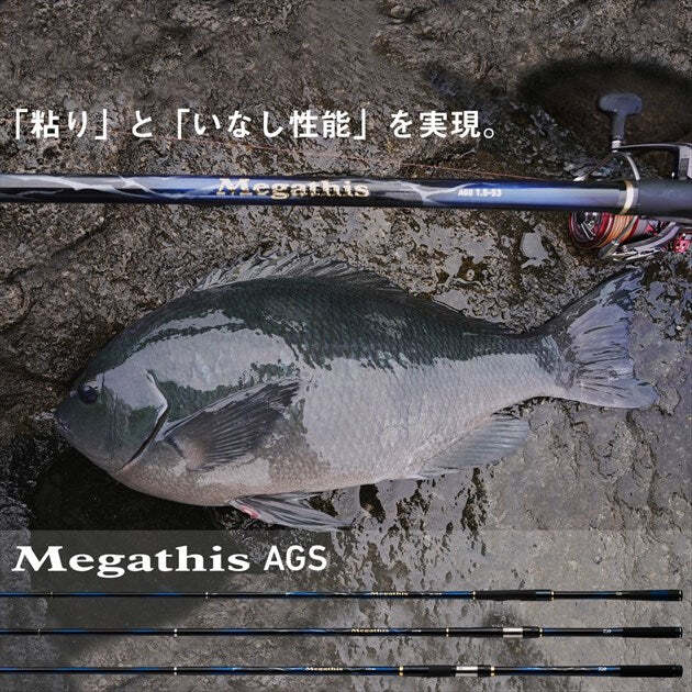 Daiwa Iso Rod Megathis AGS 1.25-50/ N (Spinning 5 Piece) | eBay