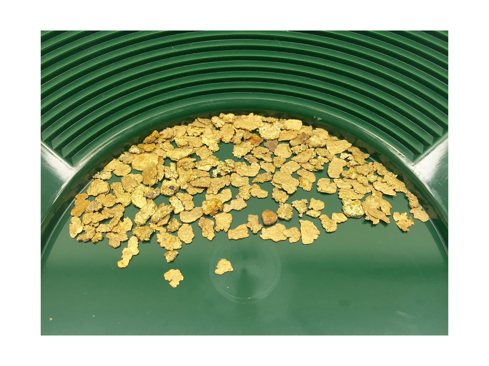 JACKPOT CLAIM - Outstanding Paydirt, Sourced From High Up In An Alaskan - Foto 9