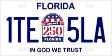Florida 250 License Plate Personalized Custom Car Bike Motorcycle Moped