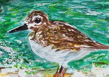 ORIGINAL ACEO Painting SANDERLING Beach Sandpiper Ocean Sea Shore Bird ATC ART