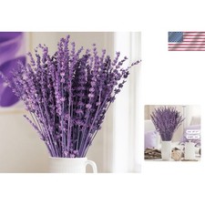 Dried Purple Lavender Flowers Bundle-Dried Preserved Lavender Bouquet 15-17" for