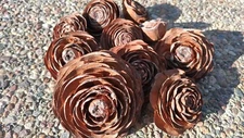 90 Deodora Cedar Rose Pinecones sizes 0.5 to 2.5 inch art crafts wedding decor