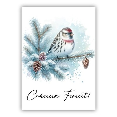 Craciun Fericit. Rumänische Weihnachtskarte. La Multi Ani! Crăciun Fericit!