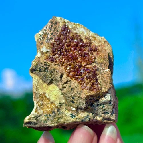 125G Rare!!! Natural Garnet Symbiotic Plants Mineral Specimen Reiki Healing