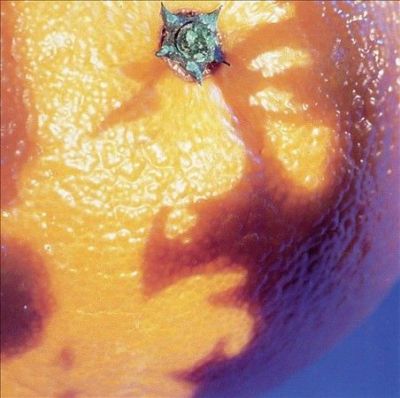 A Picture of Nectar CD (1997)