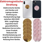 Bild 3 von 8