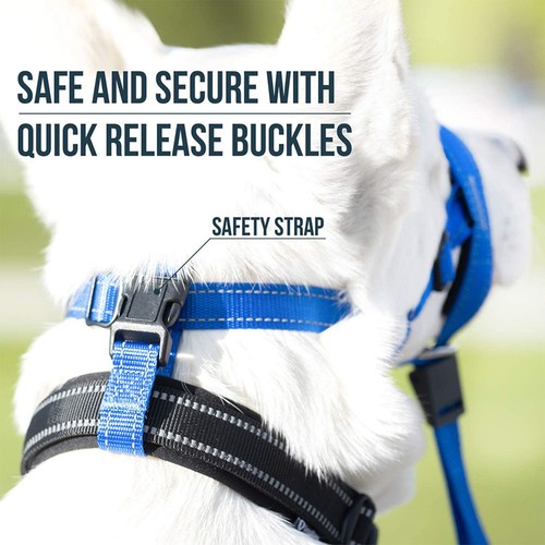 Adjustable Dog Muzzle Prevent Biting Chewing Dog Mouth Guard for Training Dogs - Picture 5 of 14
