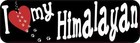 10X3 I Love My Himalayan Car Bumper Magnet Cat Magnetic Sign Truck Magnets Decal